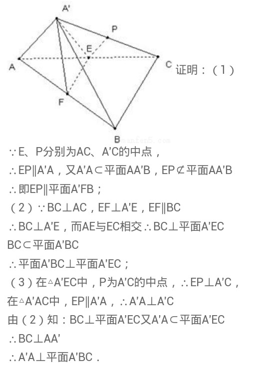 与龙相似岂能比，上天下地钻容易打一个正确生肖，详细解答、深度解答解释落实