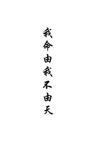 我命由我不由天打一准确生肖详细解答、精准解答解释落实